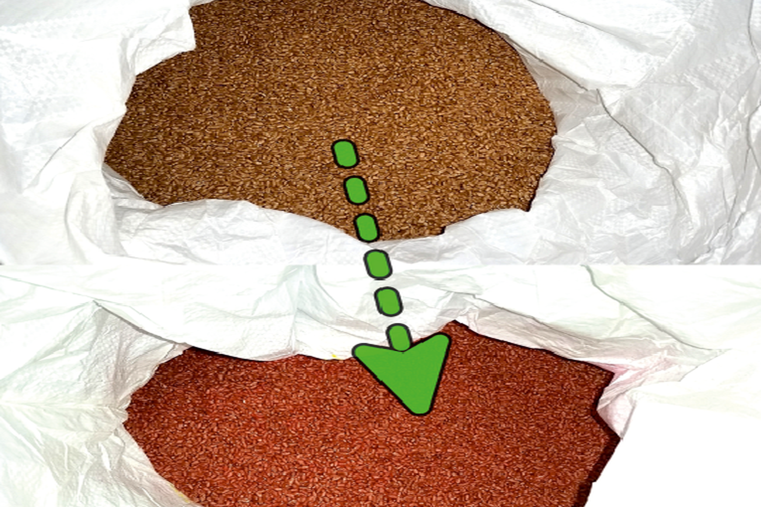 Seed Treating Equipment Model 4 - High-capacity grain treatment facility