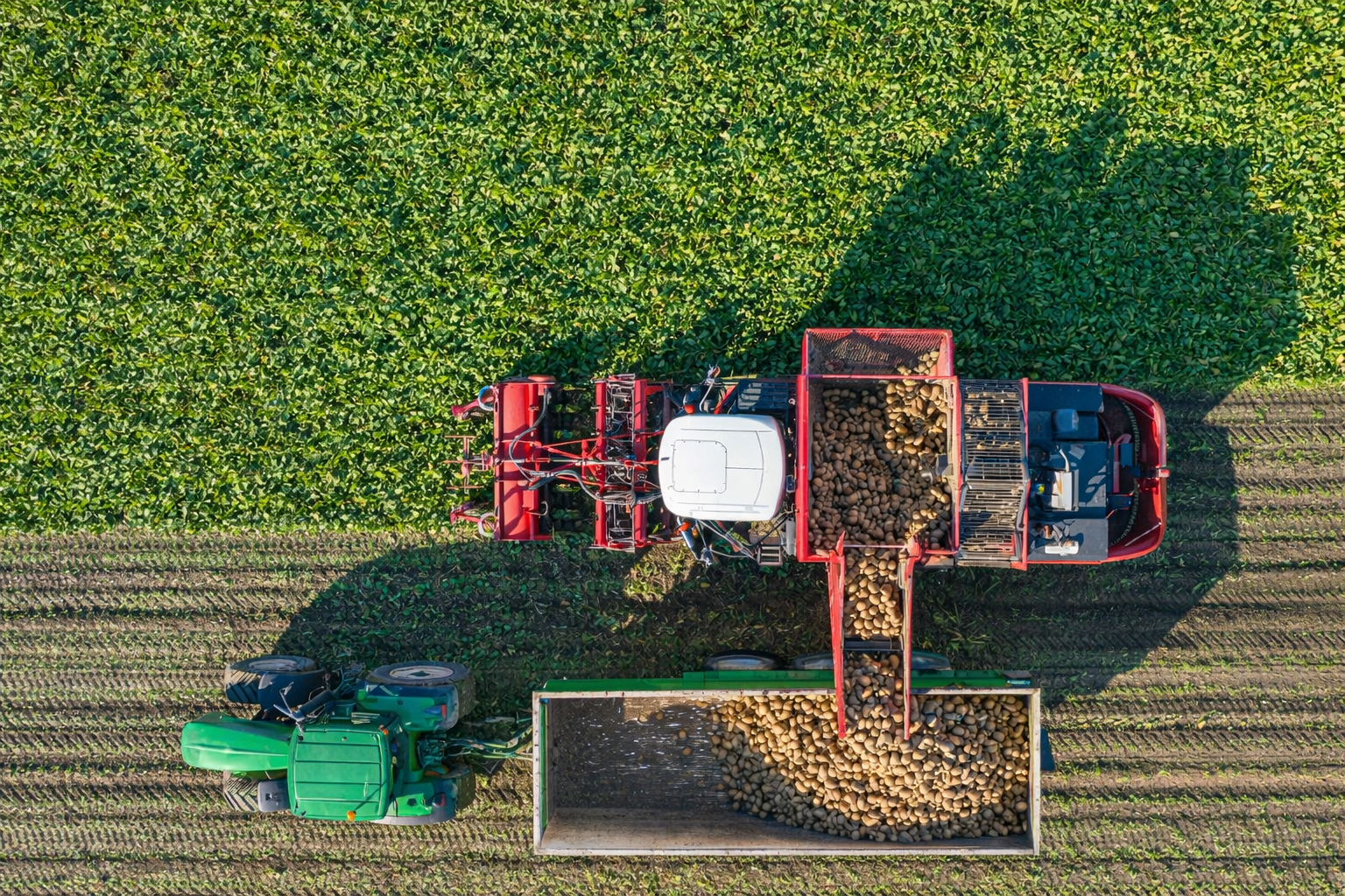 Transport Solution - Logistics and distribution